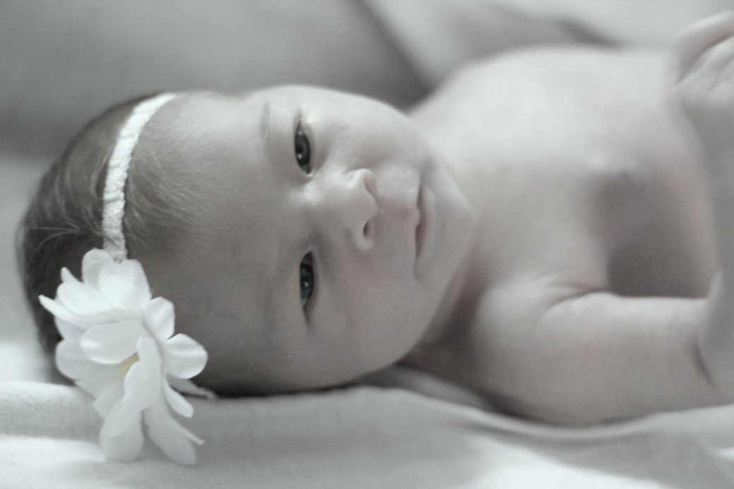 f422b30c-6051-4fd6-96a2-a619babd4416